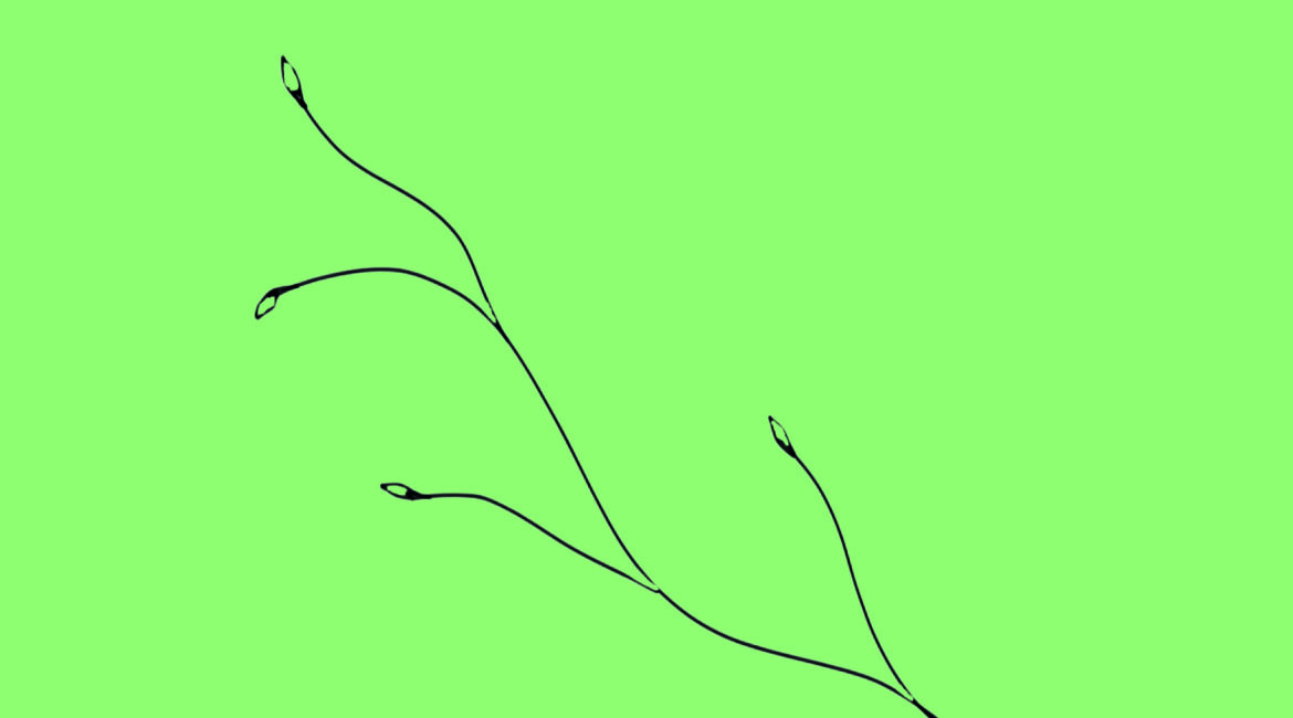 Lime green book cover with the title 'Materia Madre / Lingua Madre' and author names, plus a black abstract vine illustration at the bottom left.